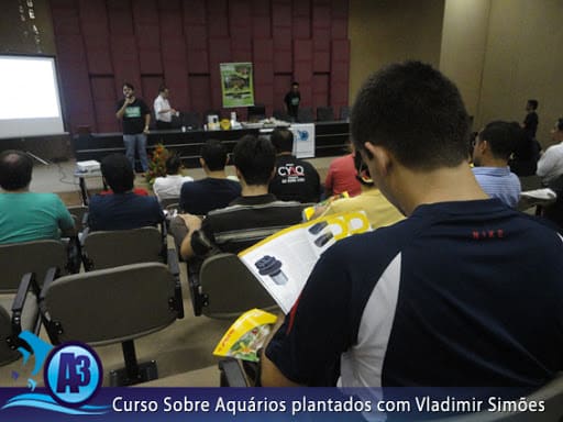 Curso de aquário plantado com Vladimir Simões em Alagoas Curso de aquário plantado com Vladimir Simões em Alagoas