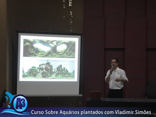 Curso de aquário plantado com Vladimir Simões em Alagoas