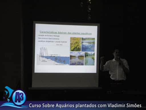 Curso de aquário plantado com Vladimir Simões em Alagoas