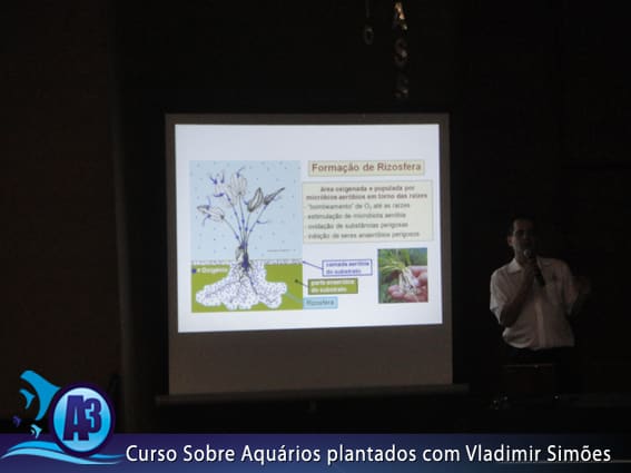 Curso de aquário plantado com Vladimir Simões em Alagoas