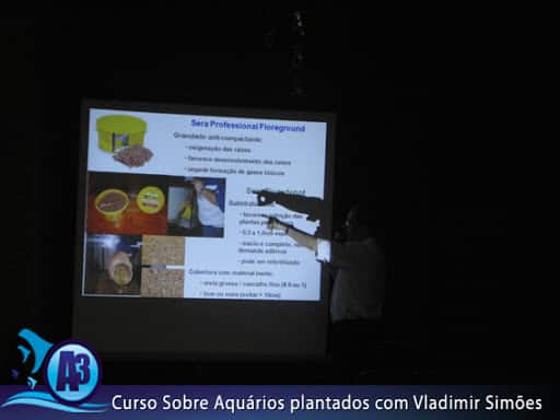 Curso de aquário plantado com Vladimir Simões em Alagoas