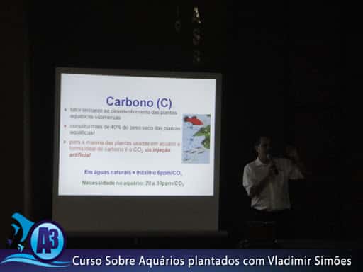 Curso de aquário plantado com Vladimir Simões em Alagoas Curso de aquário plantado com Vladimir Simões em Alagoas