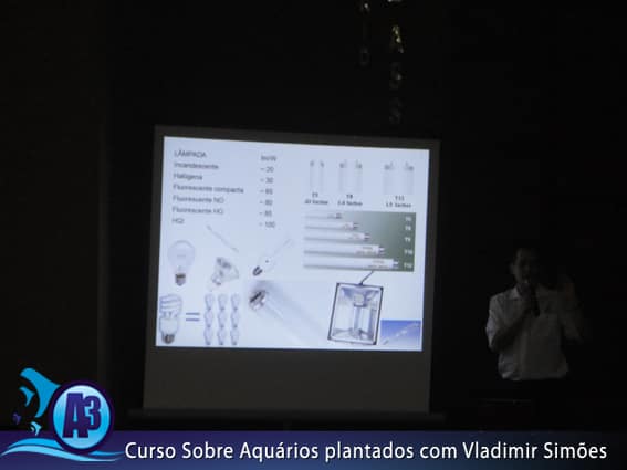 Curso de aquário plantado com Vladimir Simões em Alagoas Curso de aquário plantado com Vladimir Simões em Alagoas