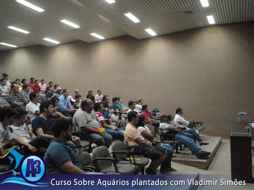 Curso de aquário plantado com Vladimir Simões em Alagoas Curso de aquário plantado com Vladimir Simões em Alagoas