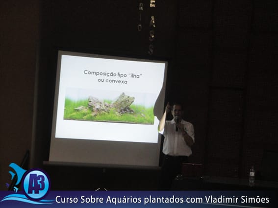 Curso de aquário plantado com Vladimir Simões em Alagoas