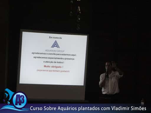 Curso de aquário plantado com Vladimir Simões em Alagoas