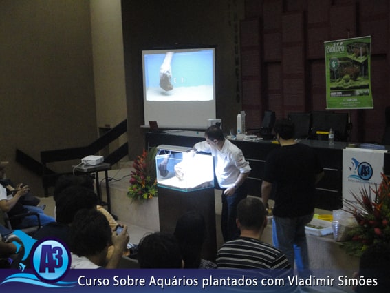 Curso de aquário plantado com Vladimir Simões em Alagoas