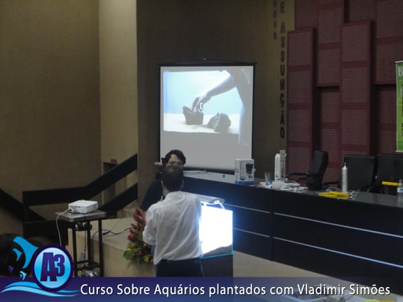 Curso de aquário plantado com Vladimir Simões em Alagoas