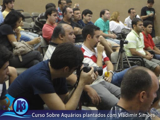 Curso de aquário plantado com Vladimir Simões em Alagoas Curso de aquário plantado com Vladimir Simões em Alagoas