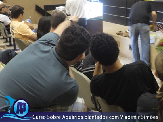 Curso de aquário plantado com Vladimir Simões em Alagoas