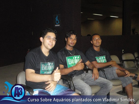 Curso de aquário plantado com Vladimir Simões em Alagoas Curso de aquário plantado com Vladimir Simões em Alagoas