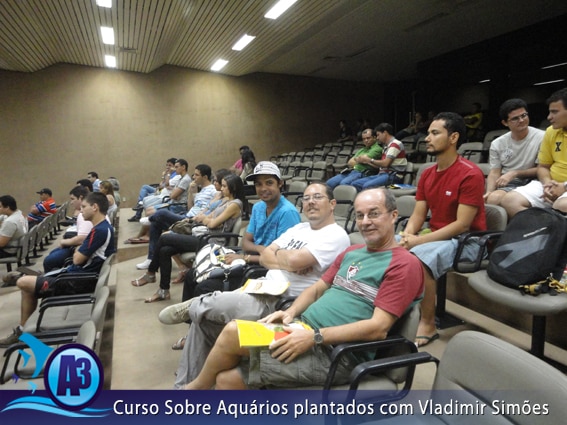 Curso de aquário plantado com Vladimir Simões em Alagoas