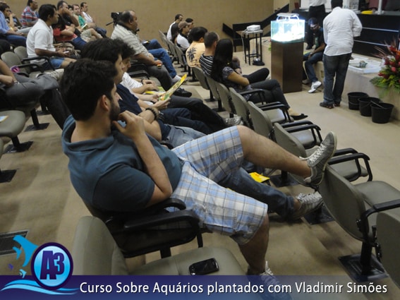 Curso de aquário plantado com Vladimir Simões em Alagoas Curso de aquário plantado com Vladimir Simões em Alagoas