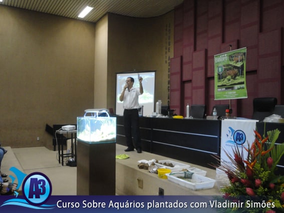 Curso de aquário plantado com Vladimir Simões em Alagoas