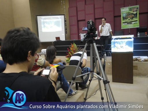 Curso de aquário plantado com Vladimir Simões em Alagoas