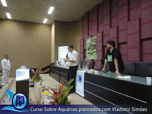 Curso de aquário plantado com Vladimir Simões em Alagoas