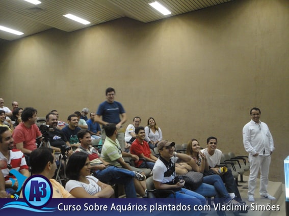 Curso de aquário plantado com Vladimir Simões em Alagoas Curso de aquário plantado com Vladimir Simões em Alagoas