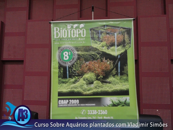 Curso de aquário plantado com Vladimir Simões em Alagoas