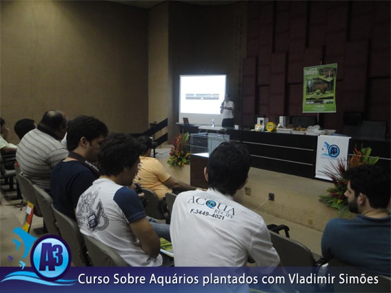 Curso de aquário plantado com Vladimir Simões em Alagoas