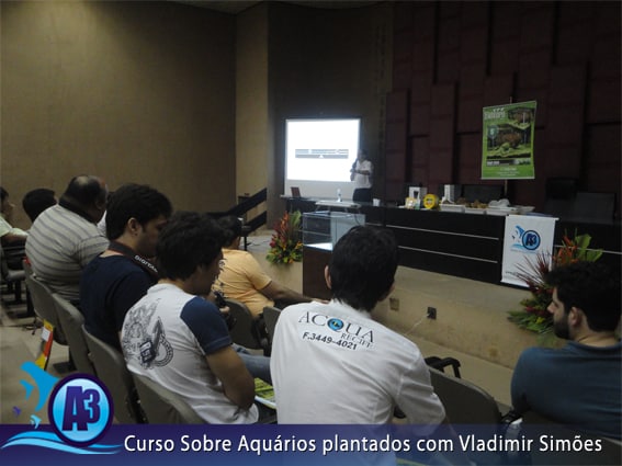 Curso de aquário plantado com Vladimir Simões em Alagoas Curso de aquário plantado com Vladimir Simões em Alagoas