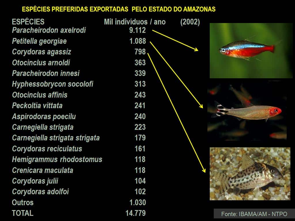 V Seminário Alagoano de Piscicultura e o VI de Maricultura