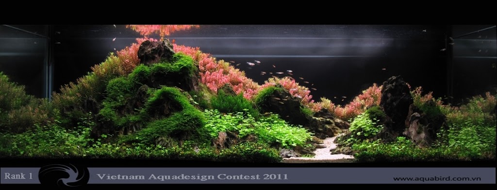 Aquatic-Design-Contest-2011-1-25C2-25BA