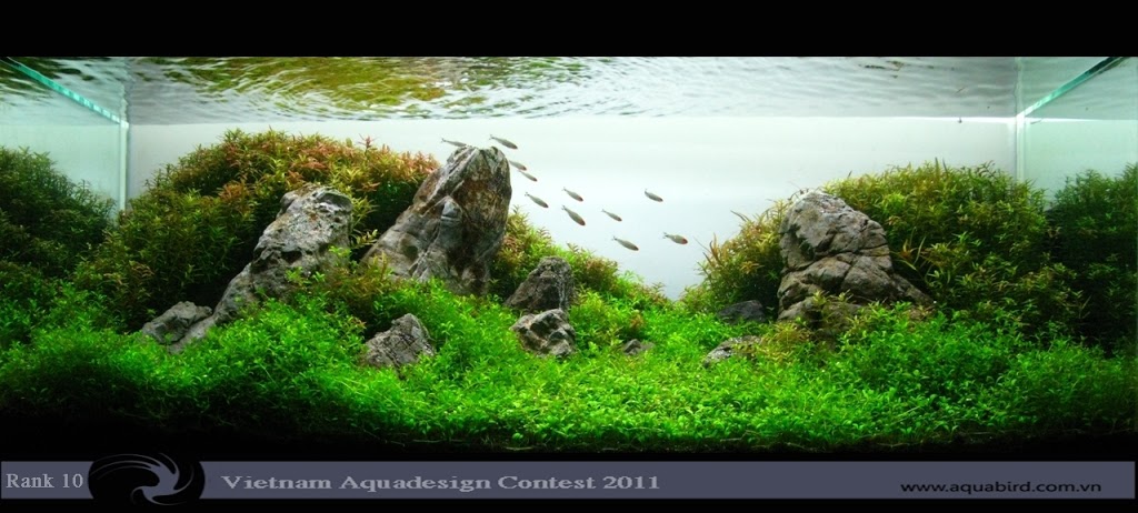 Aquatic-Design-Contest-2011-10-25C2-25BA