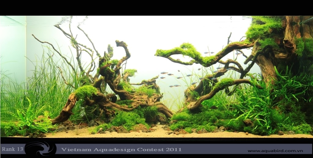 Aquatic-Design-Contest-2011-13