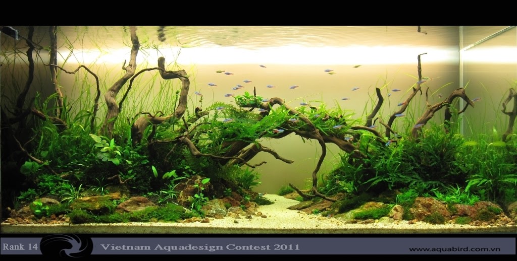 Aquatic-Design-Contest-2011-14