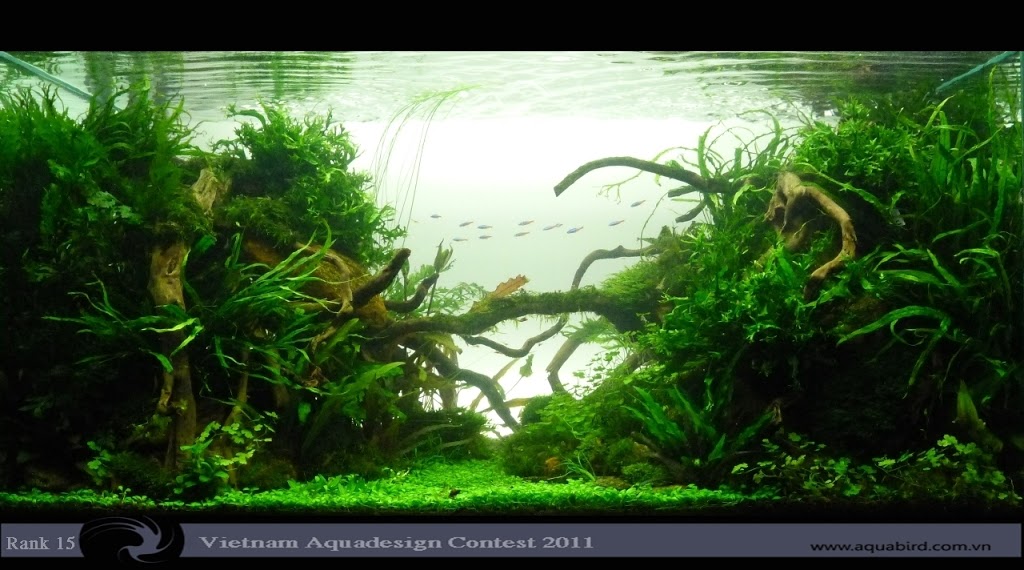 Aquatic-Design-Contest-2011-15