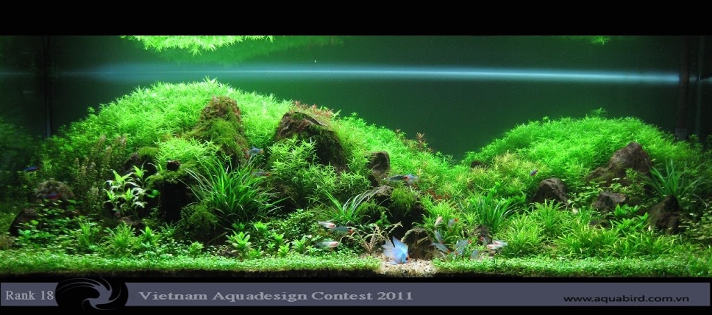 Aquatic-Design-Contest-2011-18