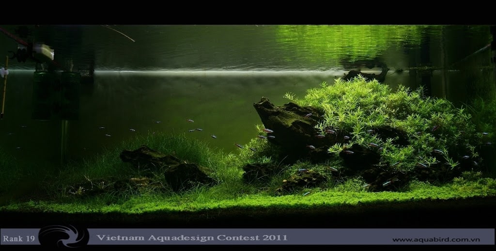 Aquatic-Design-Contest-2011-19