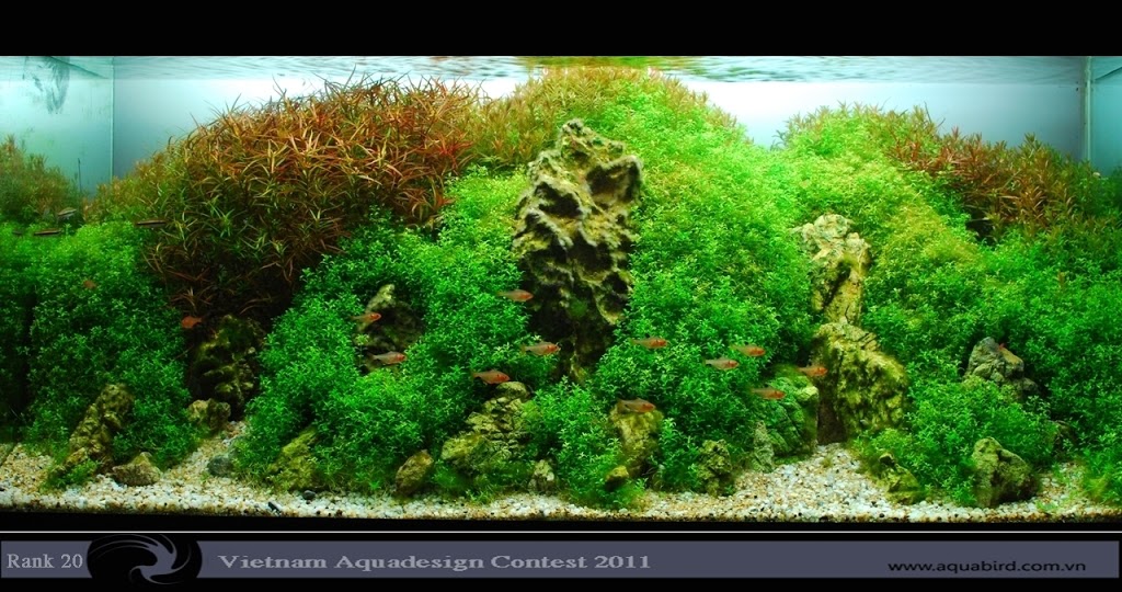 Aquatic-Design-Contest-2011-20-25C2-25BA