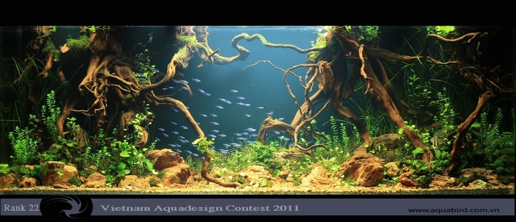 Aquatic-Design-Contest-2011-22