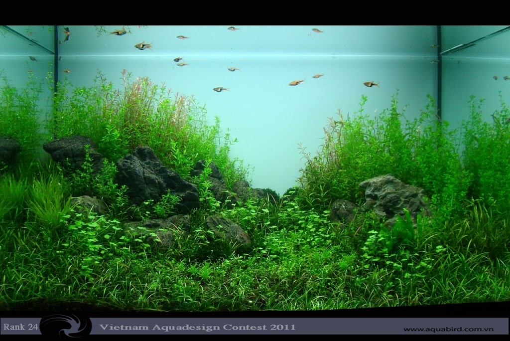 Aquatic-Design-Contest-2011-24-25C2-25BA