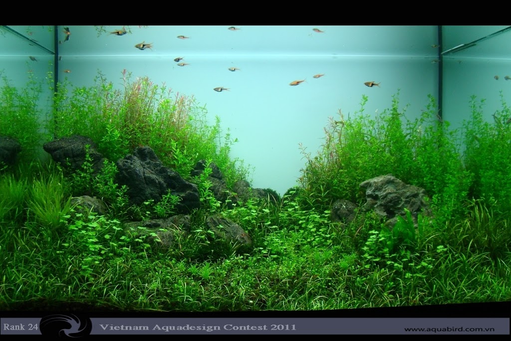 Aquatic-Design-Contest-2011-24-25C2-25BA