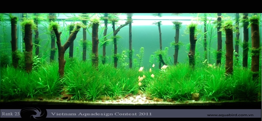 Aquatic-Design-Contest-2011-25