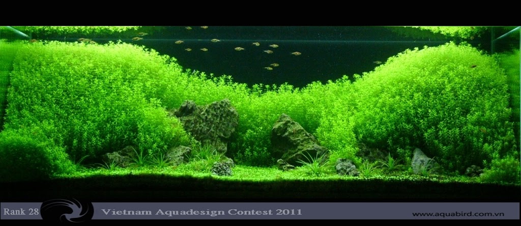 Aquatic-Design-Contest-2011-28-25C2-25BA