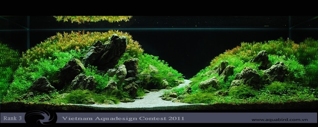 Aquatic-Design-Contest-2011-3-25C2-25BA