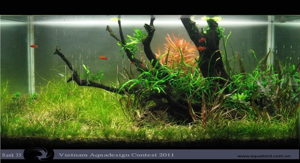 Aquatic-Design-Contest-2011-35-25C2-25BA