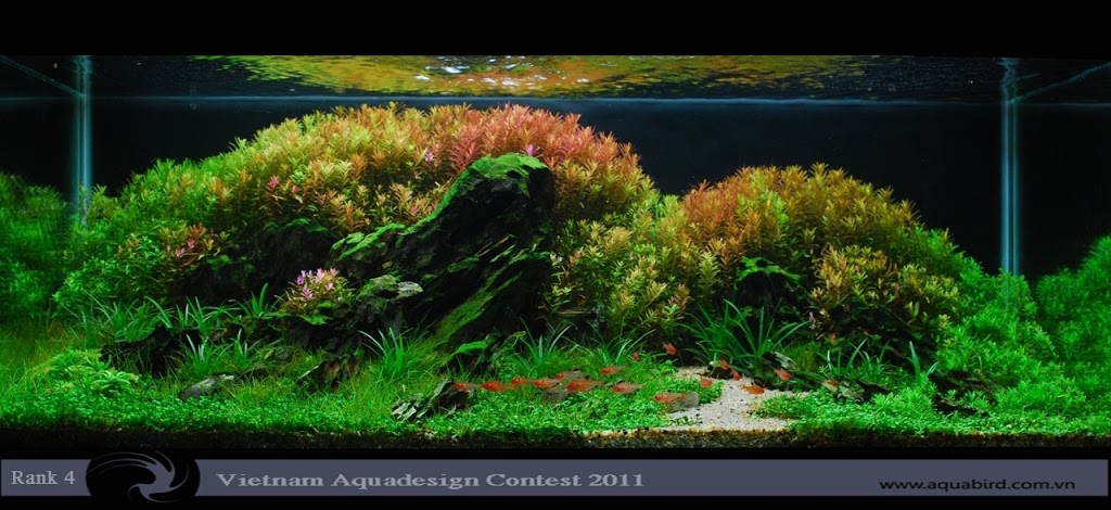 Aquatic-Design-Contest-2011-4-25C2-25BA