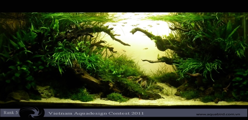 Aquatic-Design-Contest-2011-5-25C2-25BA