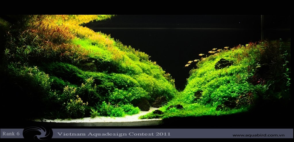 Aquatic-Design-Contest-2011-6-25C2-25BA