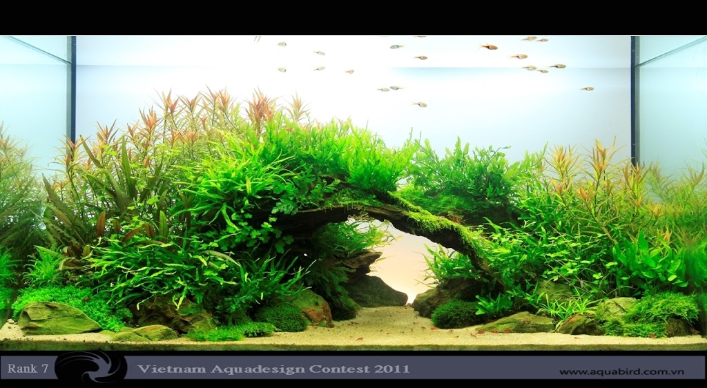 Aquatic-Design-Contest-2011-7-25C2-25BA