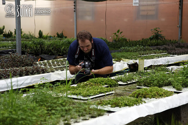 Muitas plantas e muitos detalhes para serem fotografados.