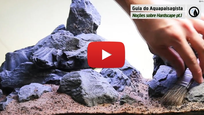 #2 Guia do Aquapaisagista: Noções sobre Hardscape