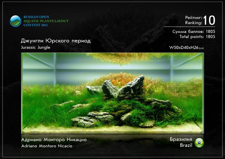 Russian Open Aquatic Plants Layout Contest 2012
