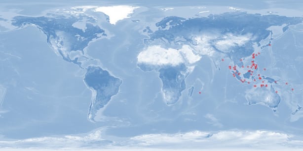 Distribuição Geográfica peixe palhaço