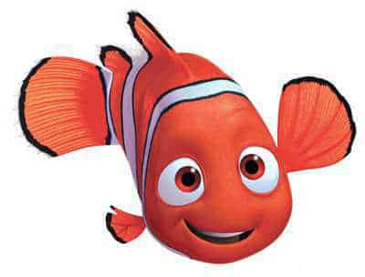 Peixe nemo