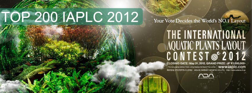 Top 200 IAPLC 2012 The International Aquatic Plants Layout Contest